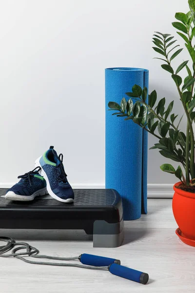 Step platform, fitness mat, skipping rope and sneakers on floor with houseplant — Stock Photo