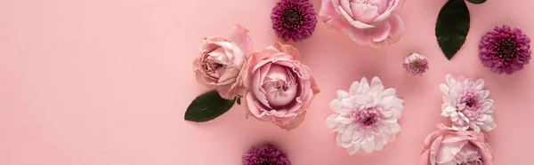 Vue de dessus des fleurs florissantes du printemps sur fond rose, vue panoramique — Photo de stock