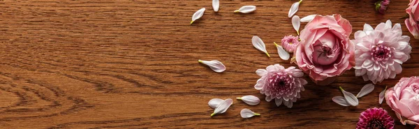 Top view of blooming pink spring flowers and petals on wooden background, panoramic shot — Stock Photo