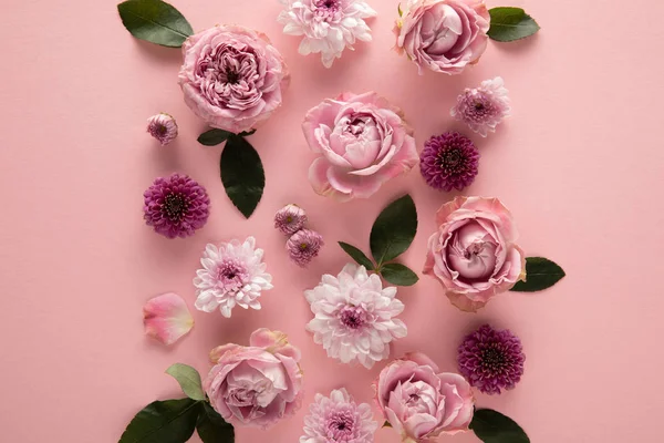 Vista superior de flores florecientes de primavera sobre fondo rosa - foto de stock