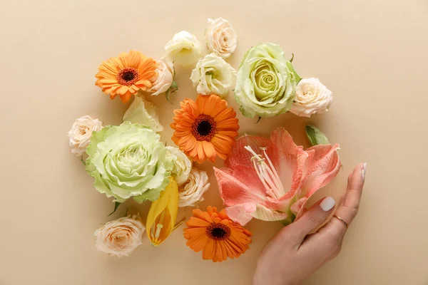 Top view of spring flowers and female hand on beige background — Stock Photo