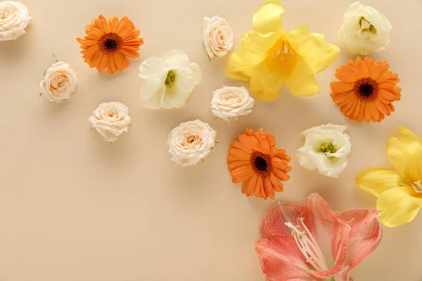 Вид зверху весняних квітів, розкиданих на бежевому фоні — стокове фото