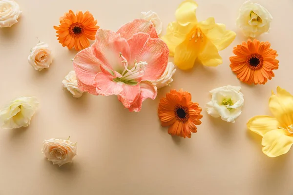 Vista superior de flores de primavera espalhadas no fundo bege — Fotografia de Stock