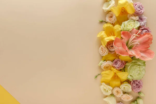 Top view of spring floral border on beige and yellow background — Stock Photo