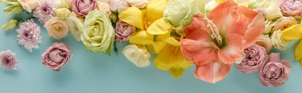 Top view of spring flowers on blue background, panoramic shot — Stock Photo