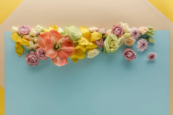 Vue de dessus des fleurs printanières sur fond beige, bleu et jaune — Photo de stock