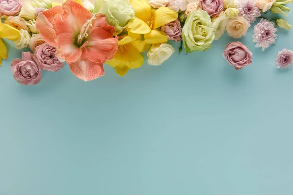 Ansicht von oben Frühlingsblumen auf blauem Hintergrund — Stockfoto