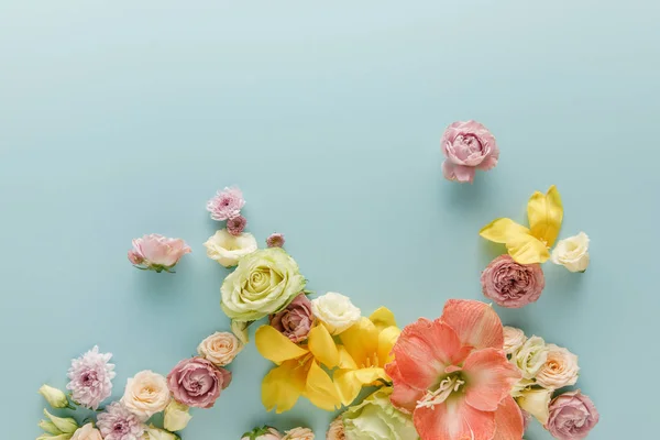 Vista superior de flores de primavera espalhadas no fundo azul — Fotografia de Stock