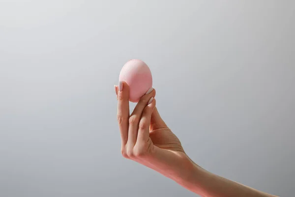 Cropped view of woman holding chicken egg isolated on grey — Stock Photo