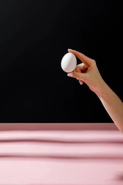 Обрізаний вид жінки, що тримає куряче яйце ізольовано на чорному тлі — стокове фото