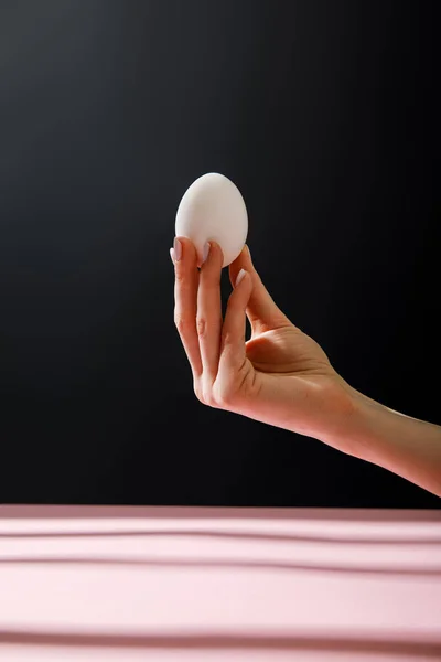 Partial view of woman holding chicken egg isolated on black background — Stock Photo