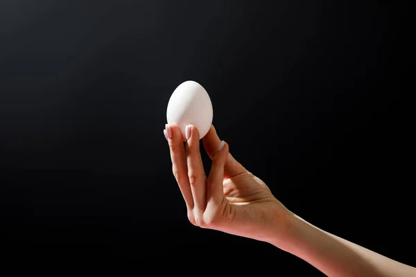 Cropped view of woman holding chicken egg isolated on black — Stock Photo