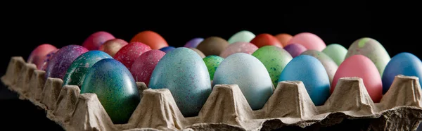 Focus selettivo del vassoio delle uova con uova di Pasqua colorate su sfondo nero, scatto panoramico — Foto stock