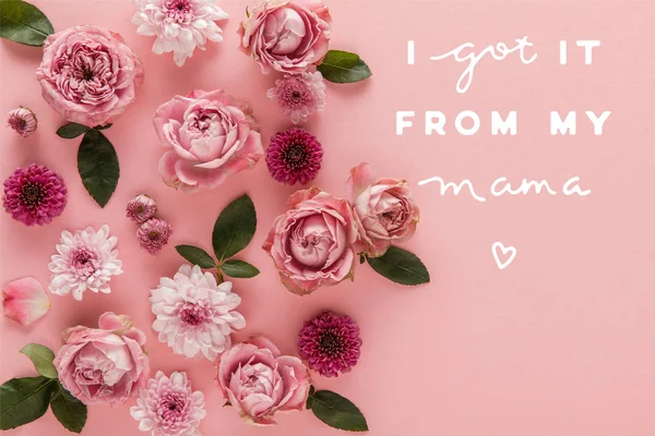 Blick von oben auf blühende Frühlingsblumen auf rosa Hintergrund, ich habe es von meiner Mama Illustration — Stockfoto