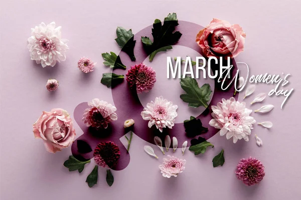 Vue du dessus du printemps fleuri Chrysanthèmes et roses avec des feuilles et des pétales sur fond violet, illustration de jour des femmes — Photo de stock