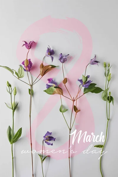 Draufsicht auf violette Blumen auf weißem Hintergrund, Illustration zum Frauentag — Stockfoto