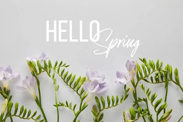 Top view of violet flowers on white background, hello spring illustration — Stock Photo