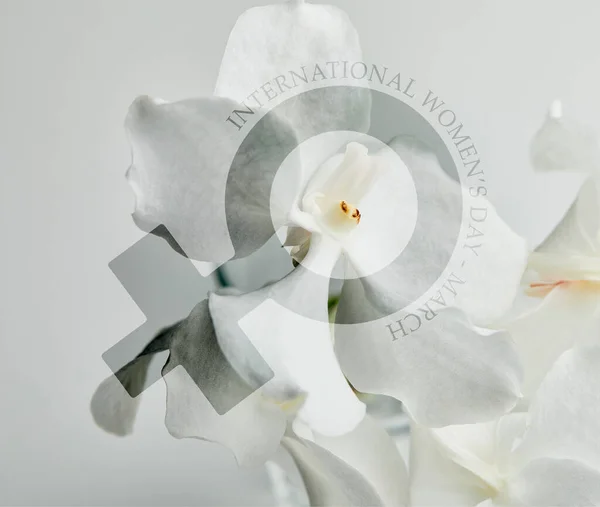 Schöne Orchideenblüten isoliert auf weißen, internationalen Frauentag Illustration — Stockfoto
