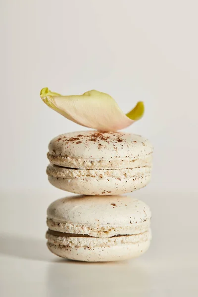 Delicious vanilla french macaroons with petal on white background — Stock Photo