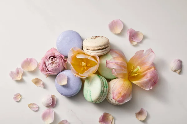 Vue de dessus de délicieux macarons français assortis avec des pétales floraux sur fond gris — Photo de stock