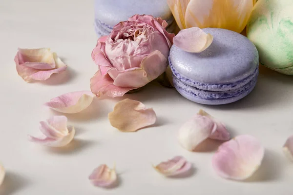 Vista de cerca de una variedad de deliciosos macarrones franceses con pétalos de peonía sobre fondo gris - foto de stock