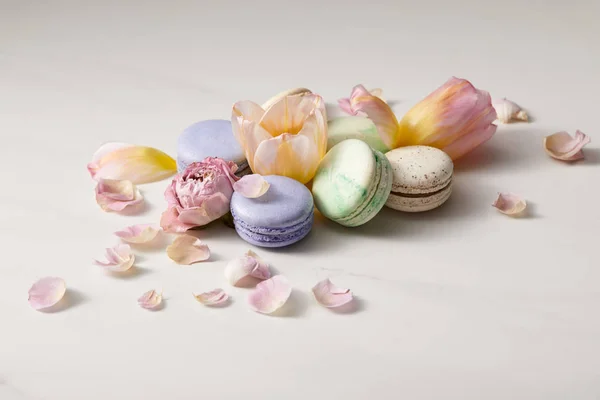 Sortidas deliciosos macaroons franceses com pétalas florais em fundo cinza — Fotografia de Stock