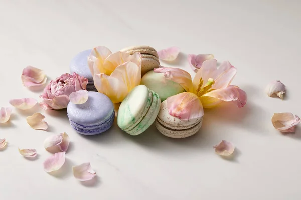 Assorted delicious french macaroons with floral petals on grey background — Stock Photo