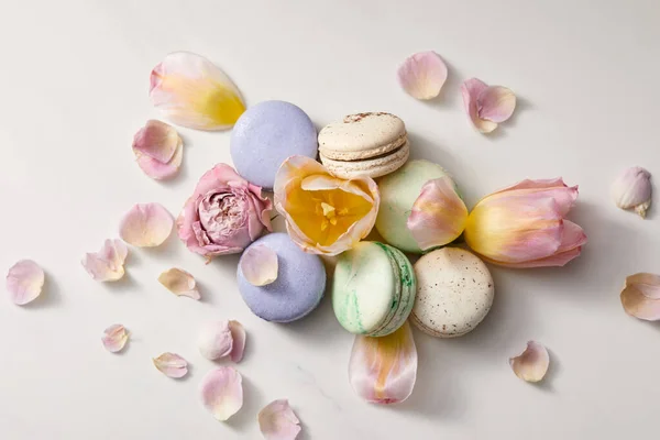 Vista dall'alto di deliziosi macaron francesi assortiti con petali floreali su sfondo grigio — Foto stock