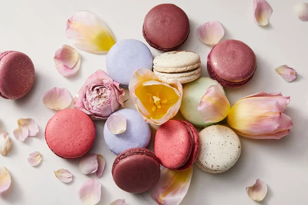 Vista dall'alto di deliziosi macaron francesi assortiti con petali floreali su sfondo grigio — Foto stock