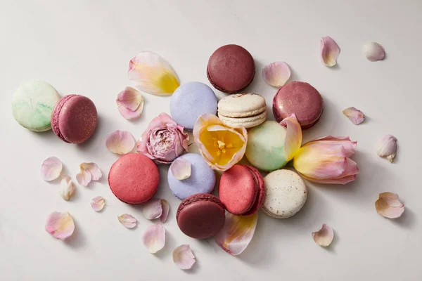 Vue de dessus de délicieux macarons français assortis avec des pétales floraux sur fond gris — Photo de stock