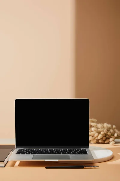Laptop with blank screen on marble board near lagurus spikelets and paintbrush on beige background — Stock Photo