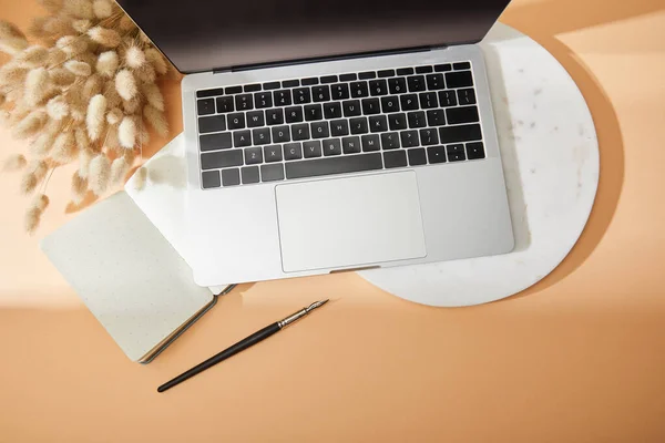 Draufsicht auf Laptop auf Marmorplatte, Lagurus Spikelets, Notizbuch, Pinsel auf beigem Hintergrund — Stockfoto