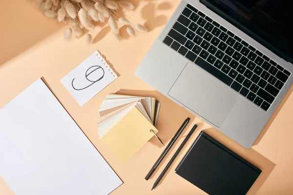 Vista dall'alto di fogli di carta, penne, quaderni, campioni di colori, puntine lagurus e laptop su sfondo beige — Foto stock