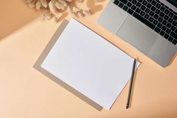 Vista superior de la hoja de papel, lápiz, espiguillas lagurus y portátil sobre fondo beige - foto de stock