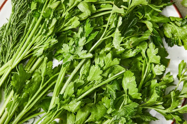 Top view of green parsley and dill on plate — Stock Photo