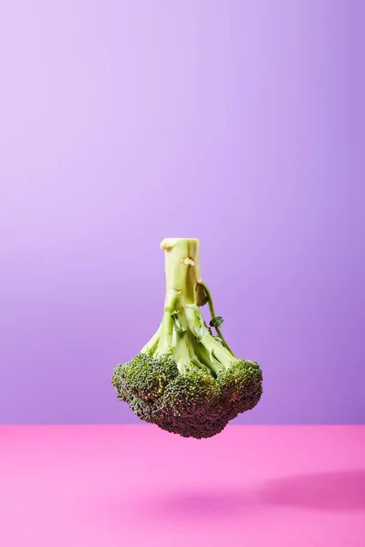 Brocoli frais à l'envers sur violet et rose — Photo de stock