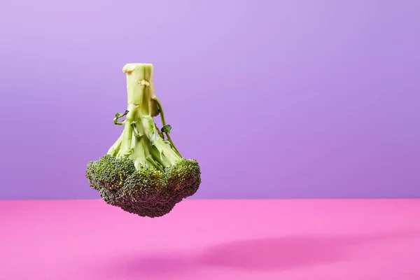 Upside down raw broccoli on purple and pink with copy space — Stock Photo