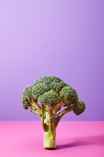 Broccoli verdi maturi su viola e rosa — Foto stock