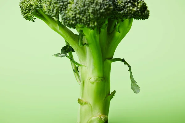 Close up of fresh green broccoli on green — Stock Photo