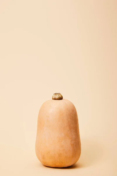 Calabaza entera madura en beige con espacio para copiar - foto de stock