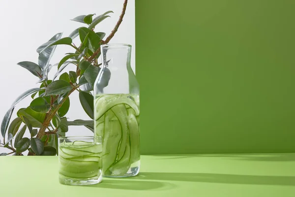 Бутылка и стакан с освежающим напитком из нарезанных огурцов и растений на сером и зеленом фоне — стоковое фото