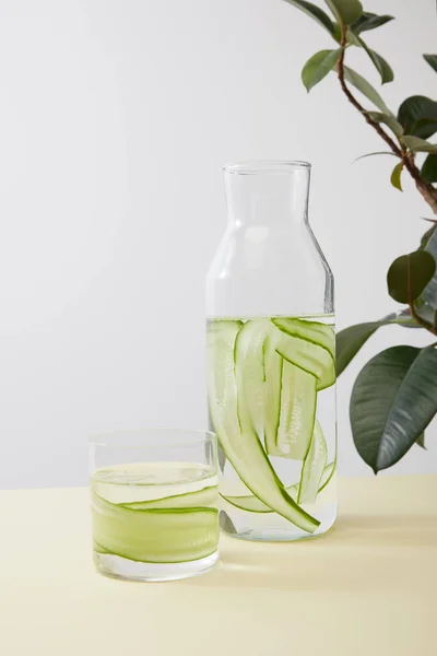 Bottle and glass with water and sliced cucumbers and plant leaves isolated on grey — Stock Photo