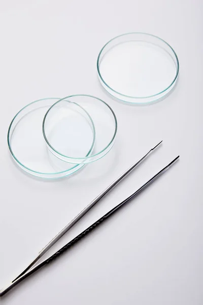 Laboratory Petri dishes and tweezers on grey background — Stock Photo