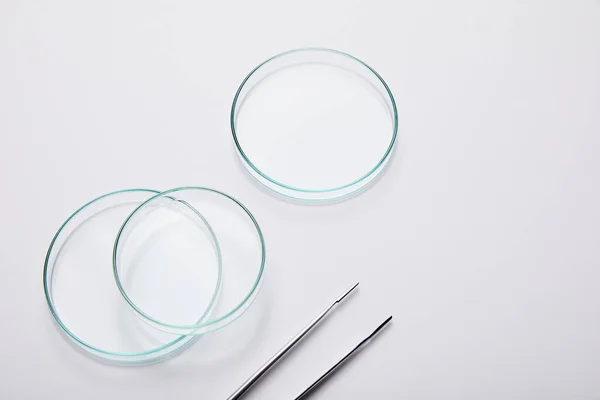 Лабораторний скляний посуд і пінцет на сірому фоні — стокове фото