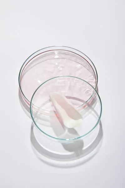 High angle view of laboratory petri plate with pink liquid and rose petal on grey background — Stock Photo