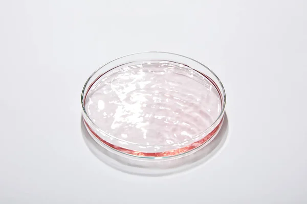 High angle view of laboratory glassware with liquid on grey background — Stock Photo