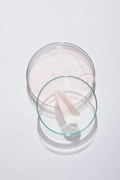 Draufsicht auf Glaslabor-Petrischalen mit rosa Flüssigkeit und Rosenblütenblatt auf grauem Hintergrund — Stockfoto