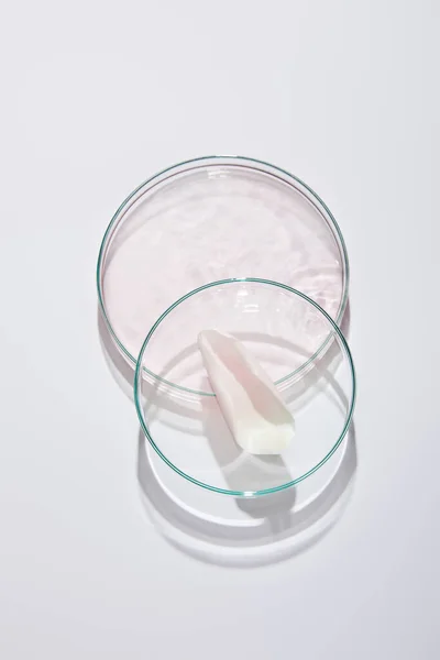 Vista superior de placas de Petri de laboratorio de vidrio con líquido rosa y pétalo de rosa sobre fondo gris — Stock Photo