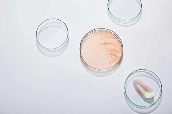 Top view of laboratory glassware with liquid and rose petal on grey background — Stock Photo