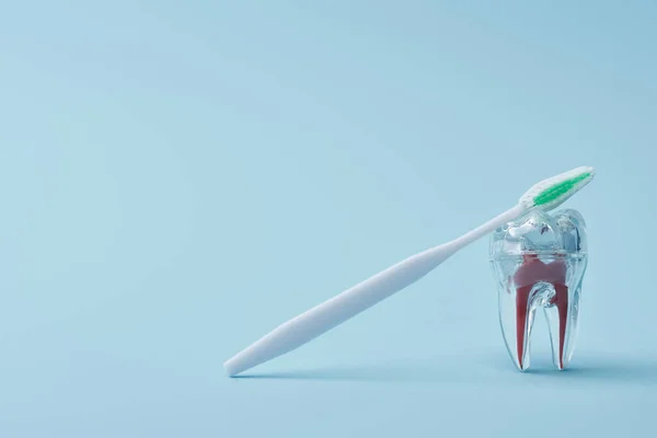 Brosse à dents blanche en plastique et dent plastique transparente artificielle sur fond bleu — Photo de stock